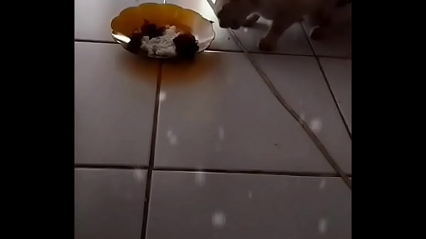 Anita, Si Binal Yang Bikin Lidah Mengering.