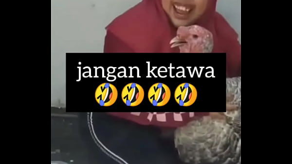Gadis Montok Meraung Nafsu, Goyangin Semua Yang Ada